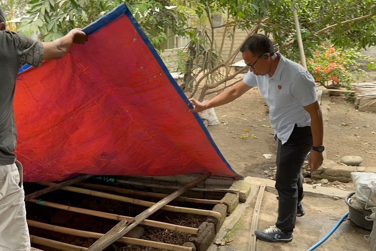 Polisi Ungkap Budidaya Magic Mushroom di Lombok Utara, 407 Gram Disita