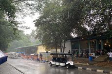Hujan Deras di Ragunan, Pengunjung Diminta Tak Berteduh di Bawah Pohon