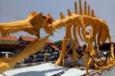 Nadran dan Ider Ider Tulang Dinosarus di Cirebon