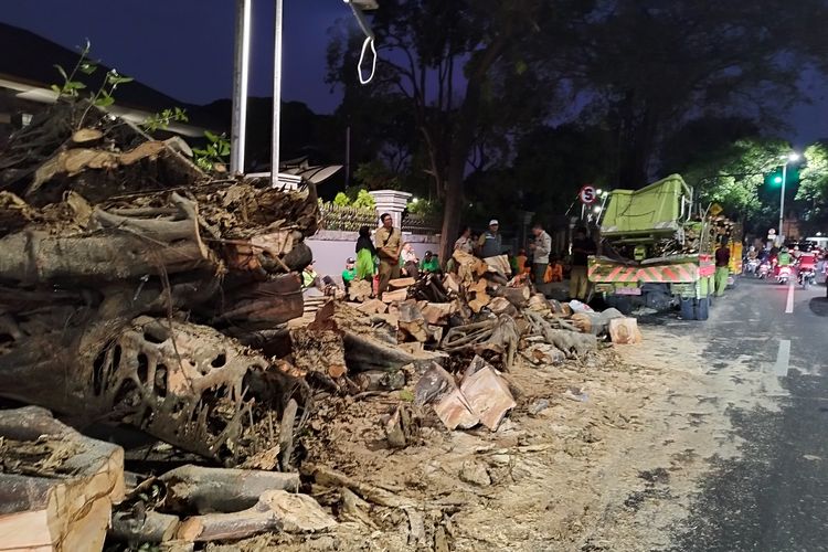 Suasana saat evakuasi pohon beringin yang tumbang di Jalan Taman Suropati, Menteng, Jakarta Pusat, Selasa (17/10/2023). (KOMPAS.com/XENA OLIVIA)