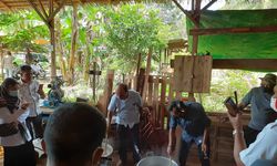 Berdayakan Rumput Laut dan Limbah Perikanan, Kementerian KP Kembangkan Pupuk Hayati