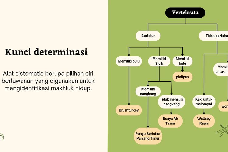 Mengenal Kunci Determinasi: Cara Mudah Mengidentifikasi Makhluk Hidup