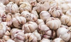 Masih Ketergantungan, 95 Persen Bawang Putih di RI Hasil Impor