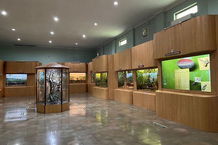 Koleksi fauna di Museum Zoologi Bogor. 