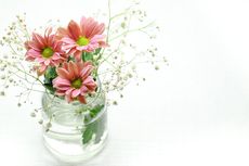Jangan Langsung Menaruh Bunga Potong ke Dalam Vas Bunga, Ada Apa?