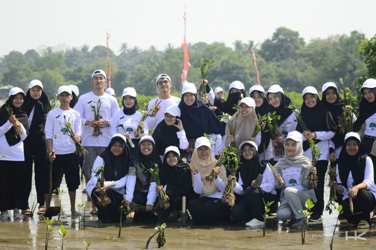  PT Hutama Karya (Persero) melakukan penanaman 2.000 bibit mangrove dalam rangka merehabilitas Pesisir Pantai Jenggalu, Bengkulu, (16/7/2024).