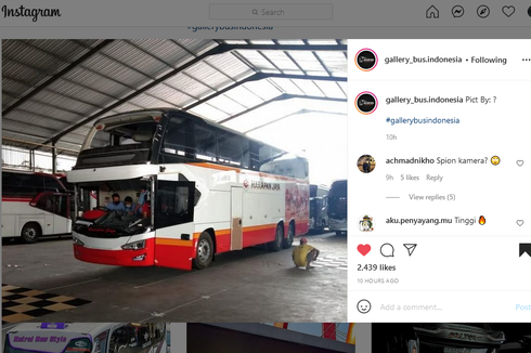 Bocor Penampakan Bus Baru Avante D1, Pakai Livery PO Harapan Jaya