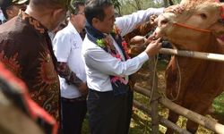 Di Bulukumba, Kementan Menitipkan Pesan Ini