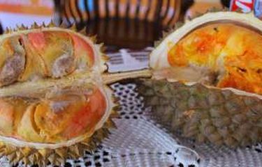 Sejarah Panjang Durian Merah Banyuwangi, dari Hutan Kalimantan ...