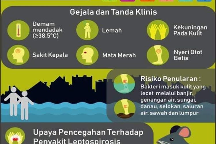 Mengenal Leptospirosis, Penyakit "Langganan" Pasca-Bencana Banjir