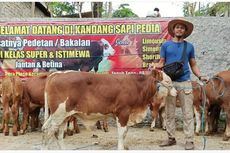 Manfaatkan Peluang di Tengah Pandemi, Penjual Sapi Asal Wonogiri Meraup Omzet Rp 60 Juta Per Bulan