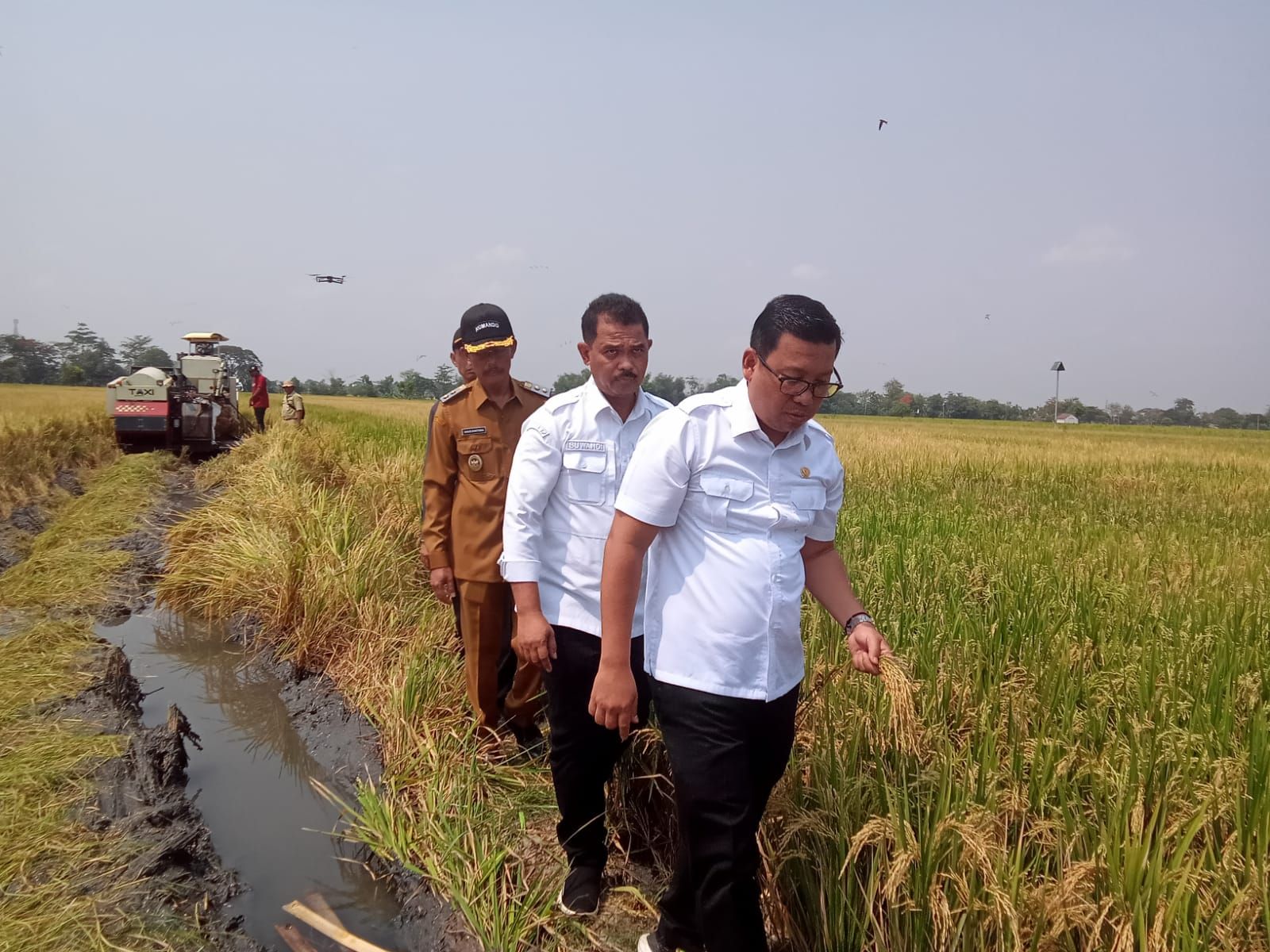 Curhat ke Plt Mentan, Petani Mengaku Sulit Dapat Pupuk Subsidi hingga Alat Pertanian