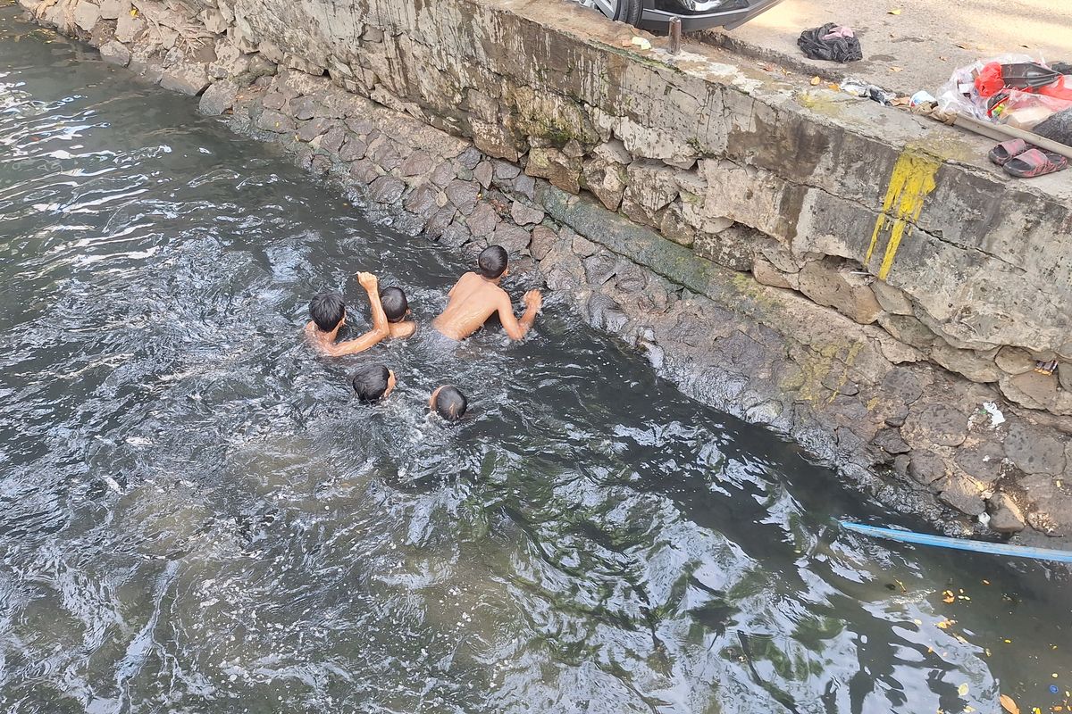 Anak-anak di Pademangan berenang di Kali Mati yang airnya keruh dan banyak ular. Jumat (28/6/2024).