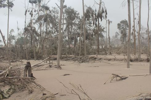 Erupsi Gunung Semeru, Sri Mulyani Siagakan Anggaran Bencana