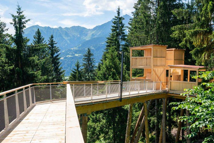 Spot wisata jalur setapak di puncak pohon di Swiss.