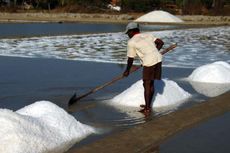 Soal Garam, Indonesia Bisa Belajar dari India