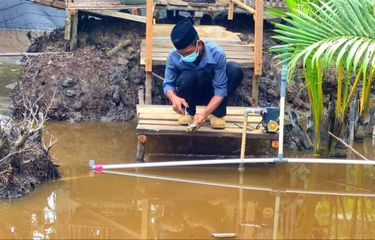 Melirik Usaha Budidaya Kepiting Renjong, Pangsa Pasar Besar ...