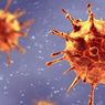 Virus Corona Baru Inggris, Reproduksi Tinggi Virus Lebih Menular