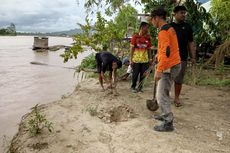 Buntut Video Viral, BPBD Nunukan Tanam Rumput Vetiver di Wilayah Longsor Sembakun