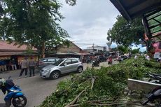 Angin Kencang Menerpa Depok, Pohon Besar di Jalan Sentosa Raya Tumbang