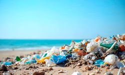 Mikroplastik Berbahaya Bagi Tubuh, Ini Cara Mudah Kurangi Kandungannya dalam Air Minum