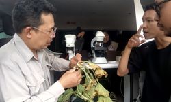 Tim Dokter Tanaman IPB Kunjungi Petani di Blitar, Bawa Mobil Klinik Tanaman