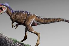 Nenek Moyang Sebesar Rusa dan 4 Fakta T-rex Lain yang Harus Anda Tahu