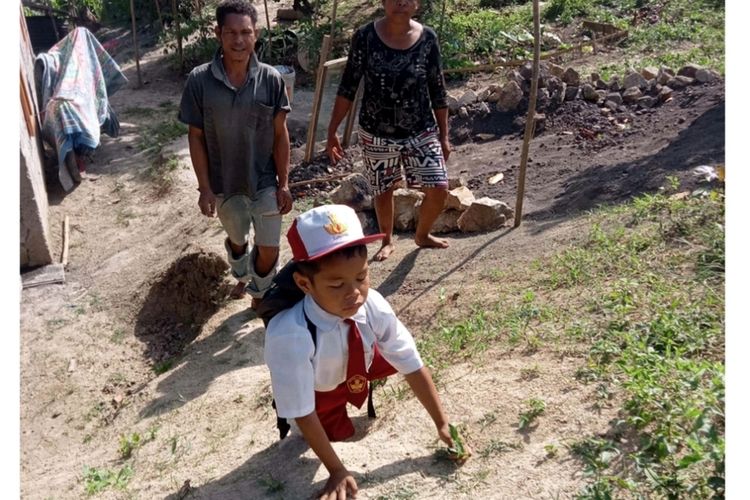 Rivaldus Eman Jalu (7) berjalan dengan lutut ke sekolahnya di SDN Sare dengan jarak 1.800 meter dari rumahnya, Selasa, (23/8/2022). (KOMPAS.com/DOK-GURU SDN SARE-HERIBERTUS MINGGUS)