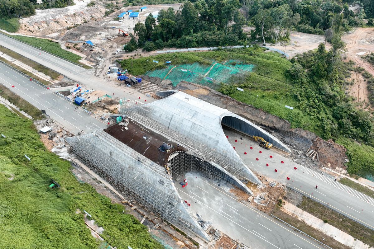 Jembatan Satwa Tol IKN Seksi 3B-2
