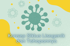 Konsep Siklus Lisogenik dan Tahapannya