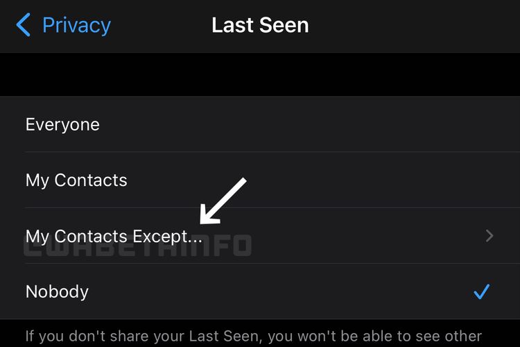 Fitur Last Seen di WhatsApp yang hadir dengan menu My Contacts Except....