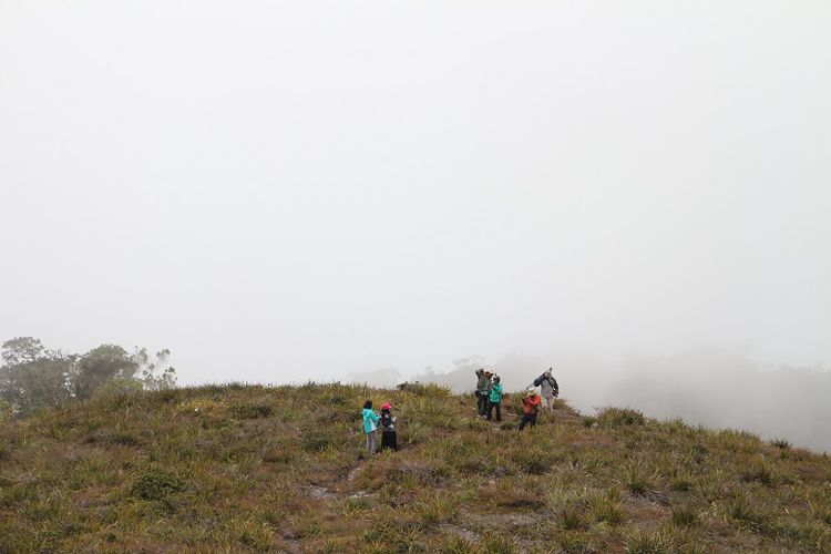 Turis sedang berjalan di Bukit Tombrok, Distrik Anggi Gida, Kabupaten Pegunungan Arfak, Papua Barat, Kamis (23/8/2018). Bukit Tombrok adalah salah satu spot untuk menikmati pemandangan Danau Anggi Gida. 