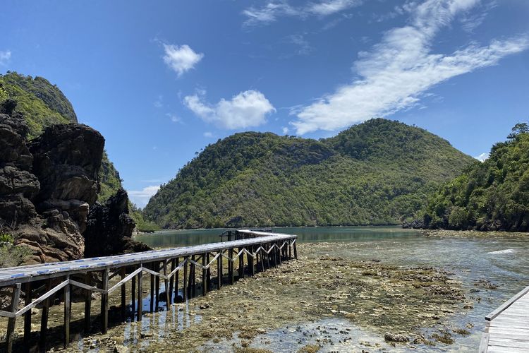 Jembatan kecil untuk melihat lebih dekat Danau Cinta di Pulau Karawapop, Misool Utara, Raja Ampat, Papua Barat Daya, Sabtu (21/10/2023).