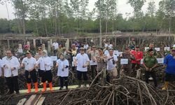 10.000 Mangrove Ditanam di Sumut, BRGM Tekankan Pentingnya Partisipasi Masyarakat dalam Pemulihan Lingkungan