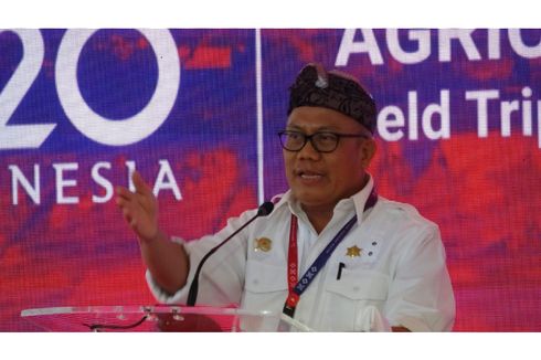 Jadi Representasi Sistem Pertanian Berkelanjutan Indonesia, Subak Jatiluwih Dipamerkan di AMM G20 Indonesia 2022