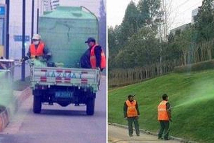 Menurut artikel yang dilansir oleh Telegraph.co.uk, Departemen Pertamanan China menolak berkomentar atas penggunaan pewarna tersebut. Namun, pihak tersebut pernah menyebutkan, bahwa bahan kimia yang tampak disemprotkan pada rerumputan adalah 