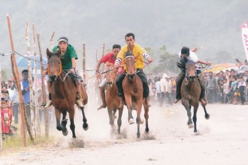 Pacuan Kuda Tradisional Gayo, Sejarah dan Aturan Mainnya