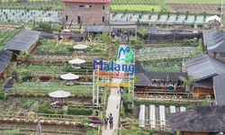 Kisah Pujon Kidul, Sukses Kelola Dana Desa Hingga Berhasil Tingkatkan PADes