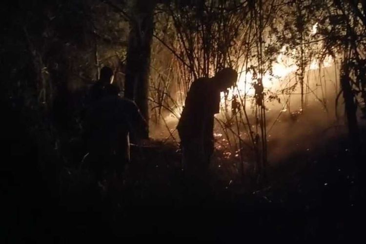 Upaya pemadaman kebakaran hutan terjadi di lereng Gunung Lawu, Kelurahan Gondosuli, Kecamatan Tawangmangu, Kabupaten Karanganyar, Jawa Tengah (Jateng), pada Rabu (31/8/2023).