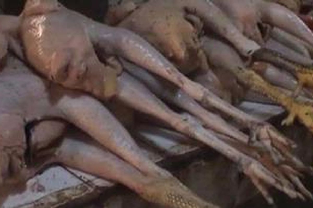 Ilustrasi daging ayam