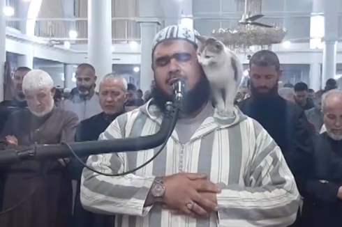 Momen Kucing Panjat Imam Tarawih di Masjid Aljazair, Bikin Gagal Fokus