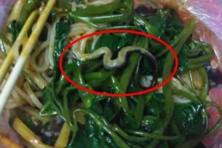 Ular dalam mie yang menyebabkan sebuah restoran di China harus ditutup sementara.