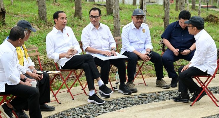 Jokowi dan Para Menteri Bahas Pengadaan Taman Safari di IKN