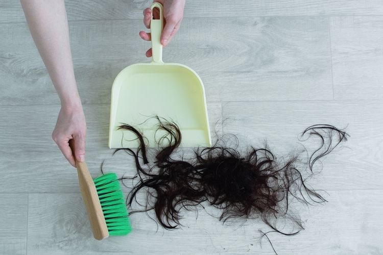 Ilustrasi potongan rambut, menyapu potongan rambut. Potongan rambut manusia bisa menjadi sumber nutrisi bagi tanaman. 