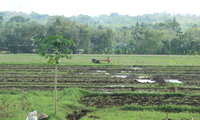 Indonesia-Belanda Jajaki Kerja Sama Pengembangan Start-up Pertanian dan Manufaktur