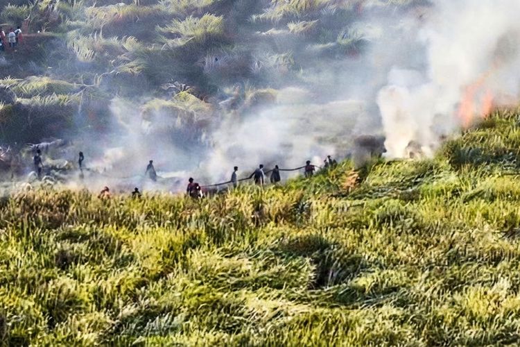 Kebakaran Lahan Gambut Dekati Kebun Sawit di Mesuji, Petugas Berjibaku Cegah Api Merembet