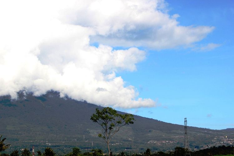 Taman Nasional Gunung Gede Pangrango (TNGGP) Jawa Barat