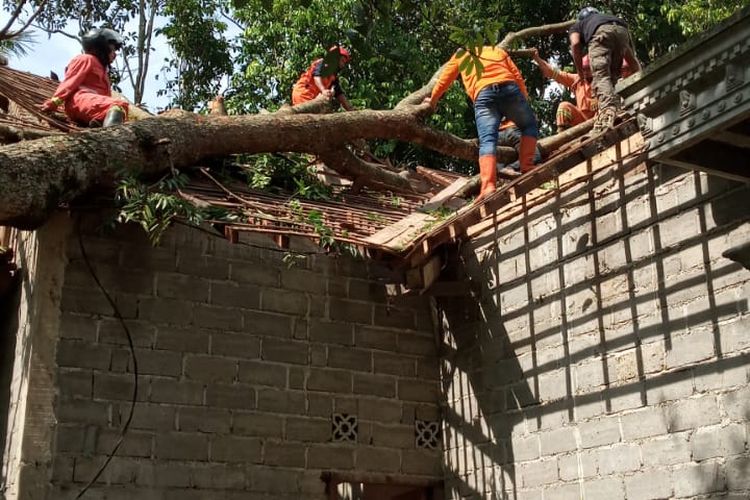 Relawan membersihkan pohon yang menimpa rumah warga di Desa Sruwen