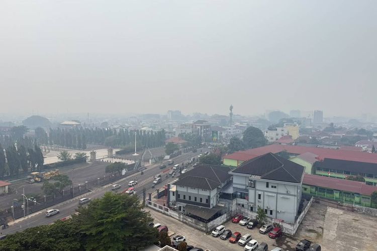 34,8 Hektare Lahan Terbakar, Polda Sumsel Tangkap 20 Pelaku Karhutla