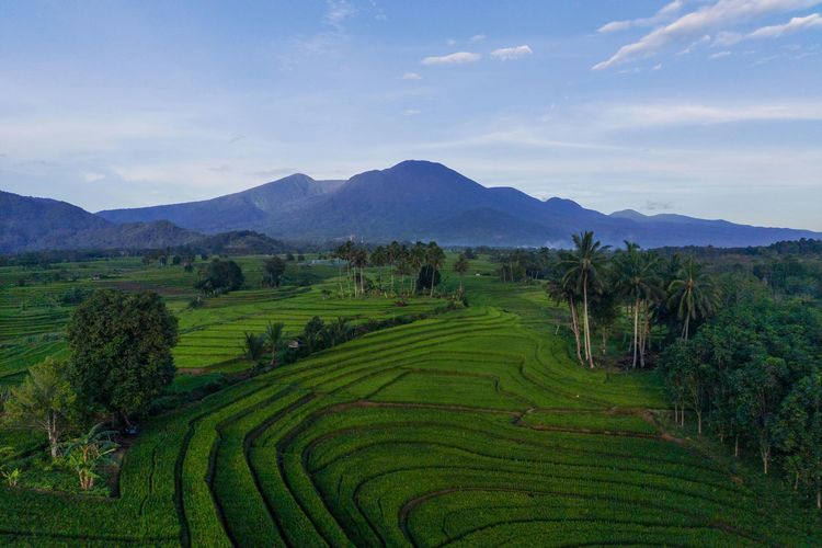 Ilustrasi keindahan Indonesia